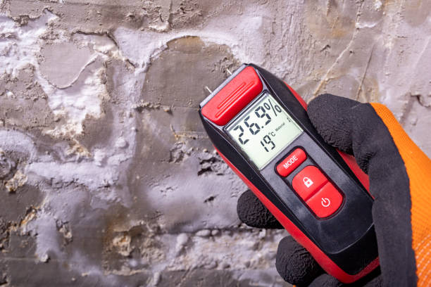 Best Crawl Space Mold Removal  in Pine Island Center, FL